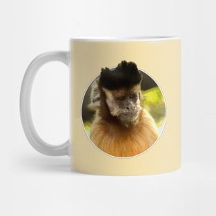 Tufted capuchin Mug